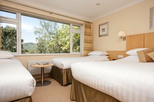Hostal Lingwood Lodge