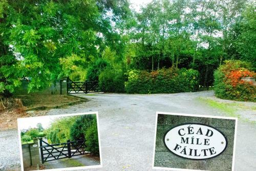 Bed & Breakfast Kingstown House