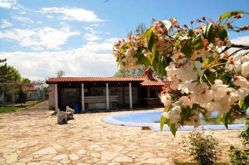 Villa Skupljen Resort: Enjoy The Freedom!