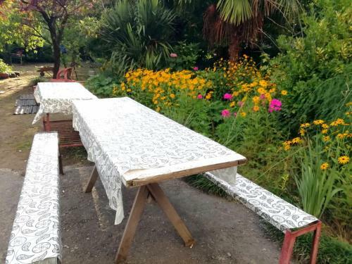 Kobuleti Guest House Adelina