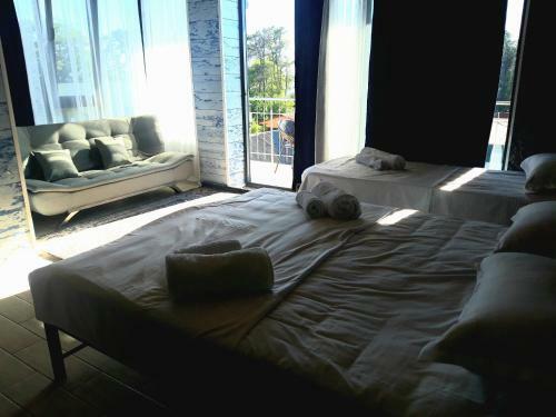 Hotel Green Terrace