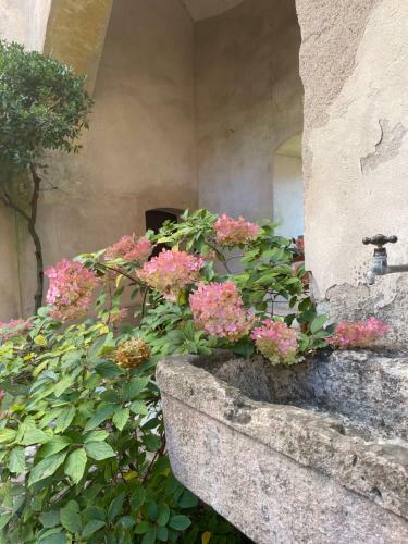 Apartamento Schloss Freudenstein