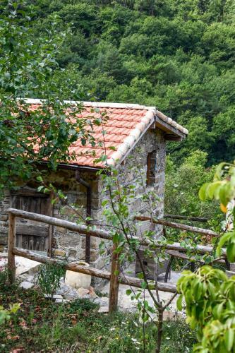 Lodge Casa Lucertola