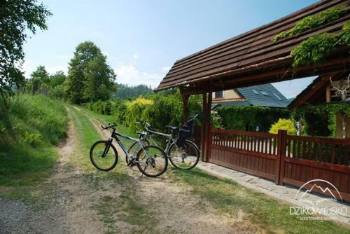 Dzikowiejsko