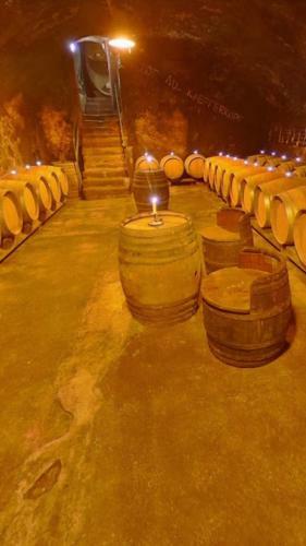 Apartamento Ammerschwihr Le C?ur Du Vignoble
