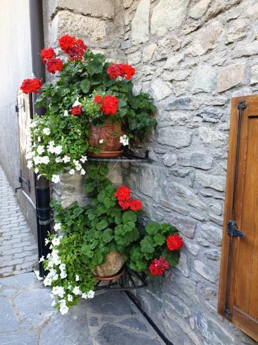 Bed & Breakfast Suite Del Villaggio