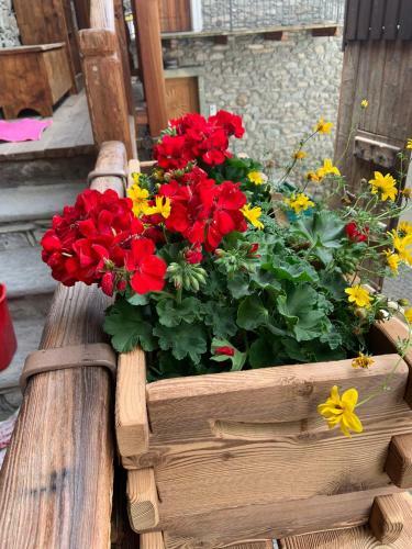 Apartamento La Tzambretta