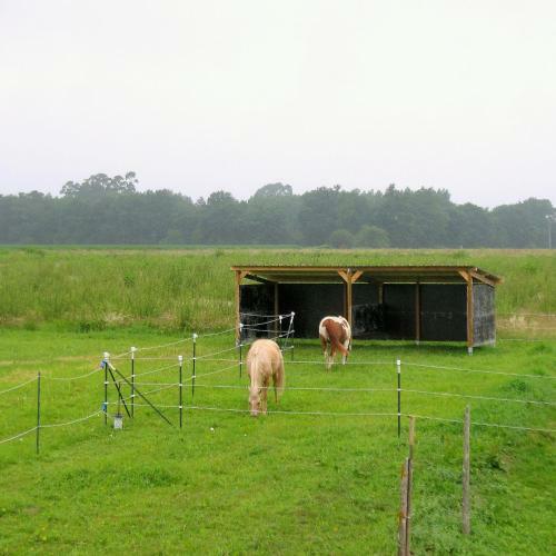 Bed & Breakfast Ranch Bignaou