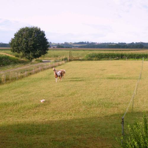Bed & Breakfast Ranch Bignaou