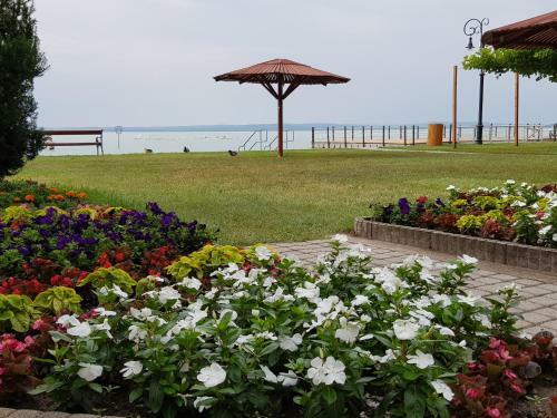 Hostal Feh�r Szeder