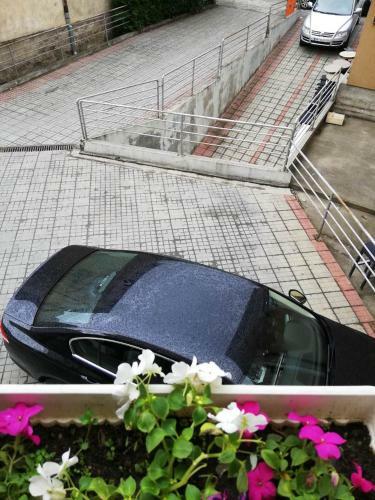 Apartman Veselinovic Free Parking