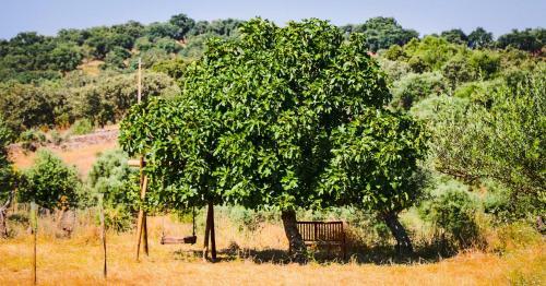 Quinta Da Soneca