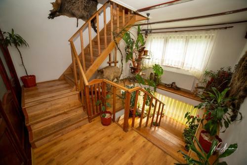 Hostal Casa Binu
