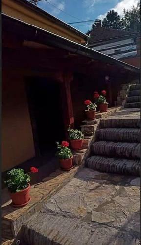 Apartmani Zapis Vrdnik