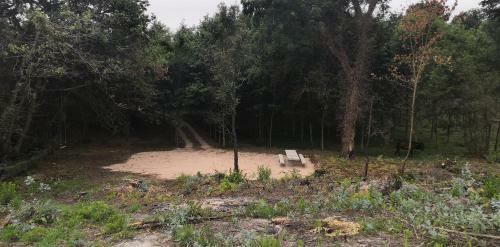 Quinta Do Soldado - Com Piscina E Jardim Privado - Totalmente Renovada 2021