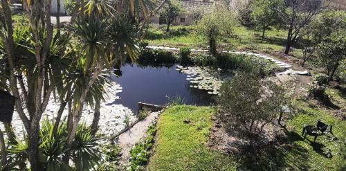 Quinta Do Soldado - Com Piscina E Jardim Privado - Totalmente Renovada 2021