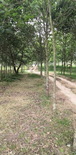 Quinta Do Soldado - Com Piscina E Jardim Privado - Totalmente Renovada 2021