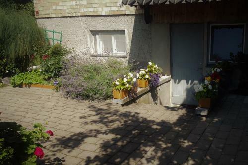 One-room Apartment With Private Inner-yard