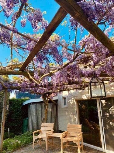 Bed & Breakfast Boukje Har B�d En Brochje