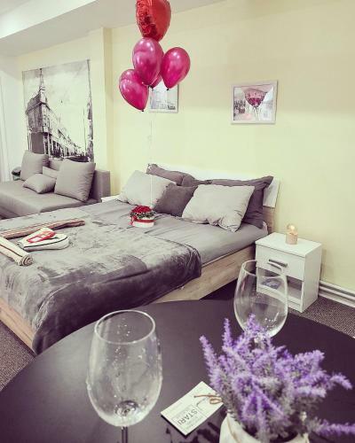 Stari Zaje?ar Apartments