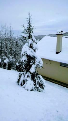 Villa Ku?a Za Odmor Nature