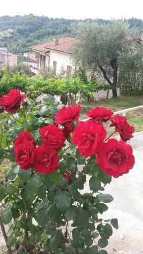 Apartamento Casetta Del Nonno Bis