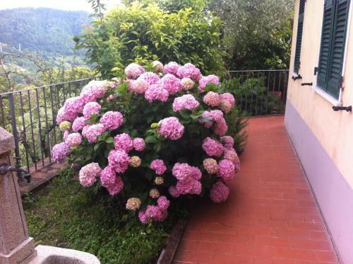 Apartamento Casa Lia