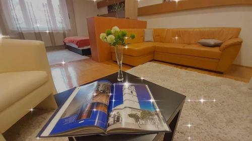 City Life Apartment
