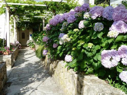 Nice Apartment & Room In Cavtat
