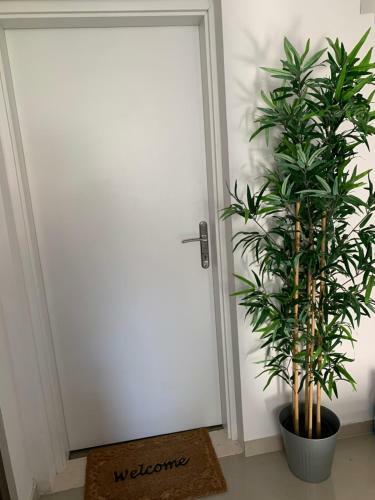 Apartment Zrinka