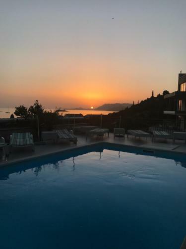 Hostal Guest House Villa Bellevue 1