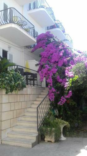 Hostal Guest House Villa Bellevue 1