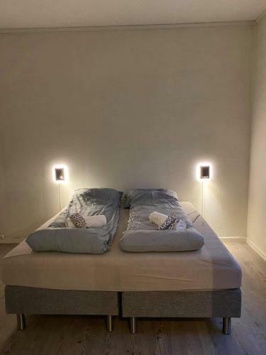 Fl�ien Apartments