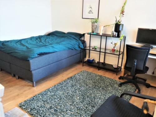 Great Apartment With Balcony Overlooking Bergen
