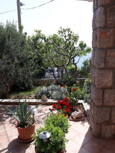 Apartman Grospic 2