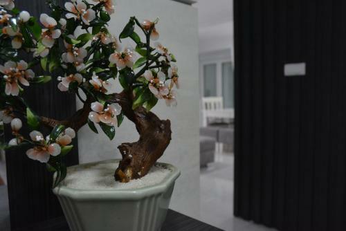 Apartman Tiffany