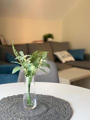 Apartamento Vip House 1