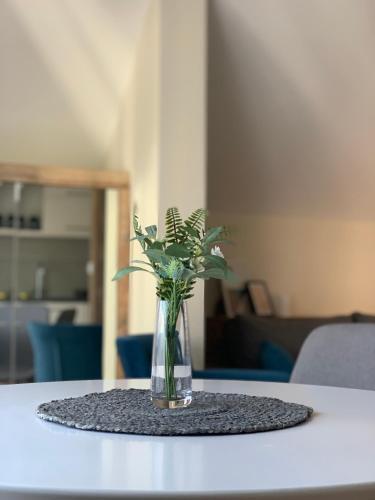 Apartamento Vip House 1
