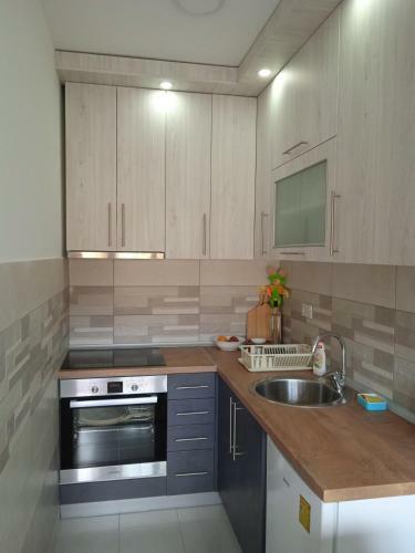 Apartman Brana Vrnja?ka Banja