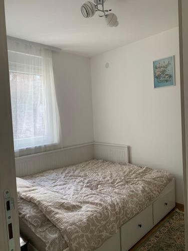 Apartman Sveta