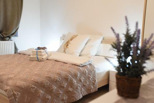 Hostal Ciri? Apartmani