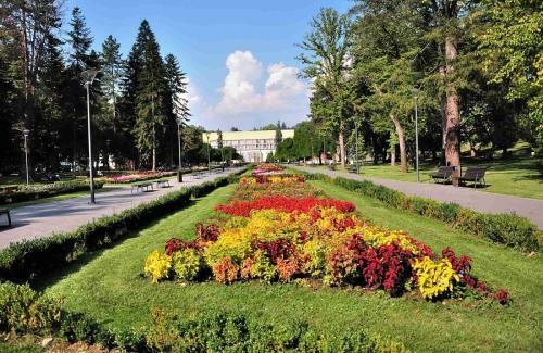 Apartman Sofija