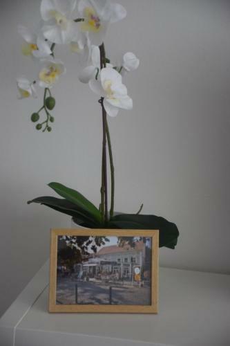 Feel Danube Apartment