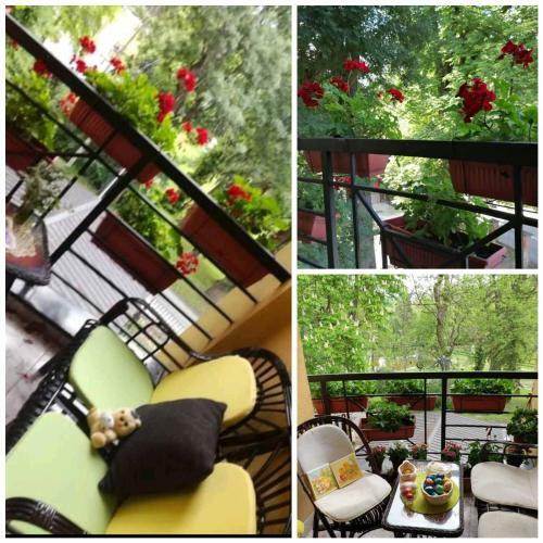 Apartman Kruna