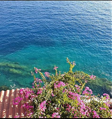 Apartamento Paradise View
