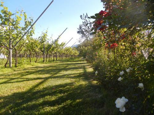 Agroturismo Al Fiume
