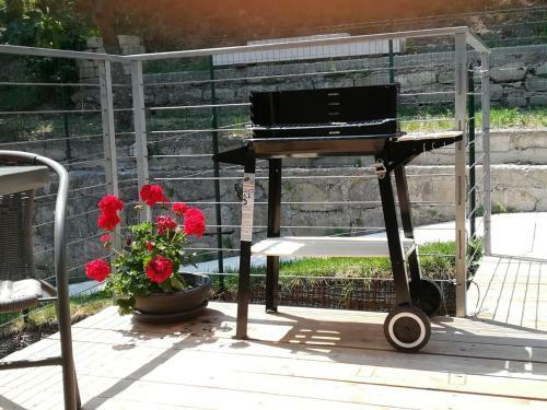 Apartamento Nature Home Relax 1