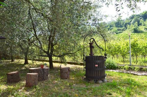 Apartamento Casa Mamma Pina