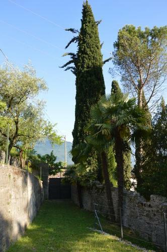 Arco Climbing