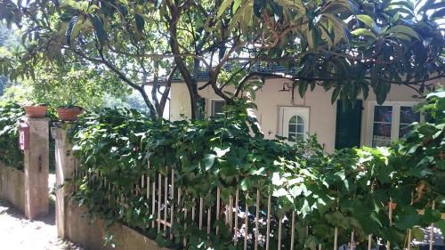 Apartamento Villa Panoramica Gazzi